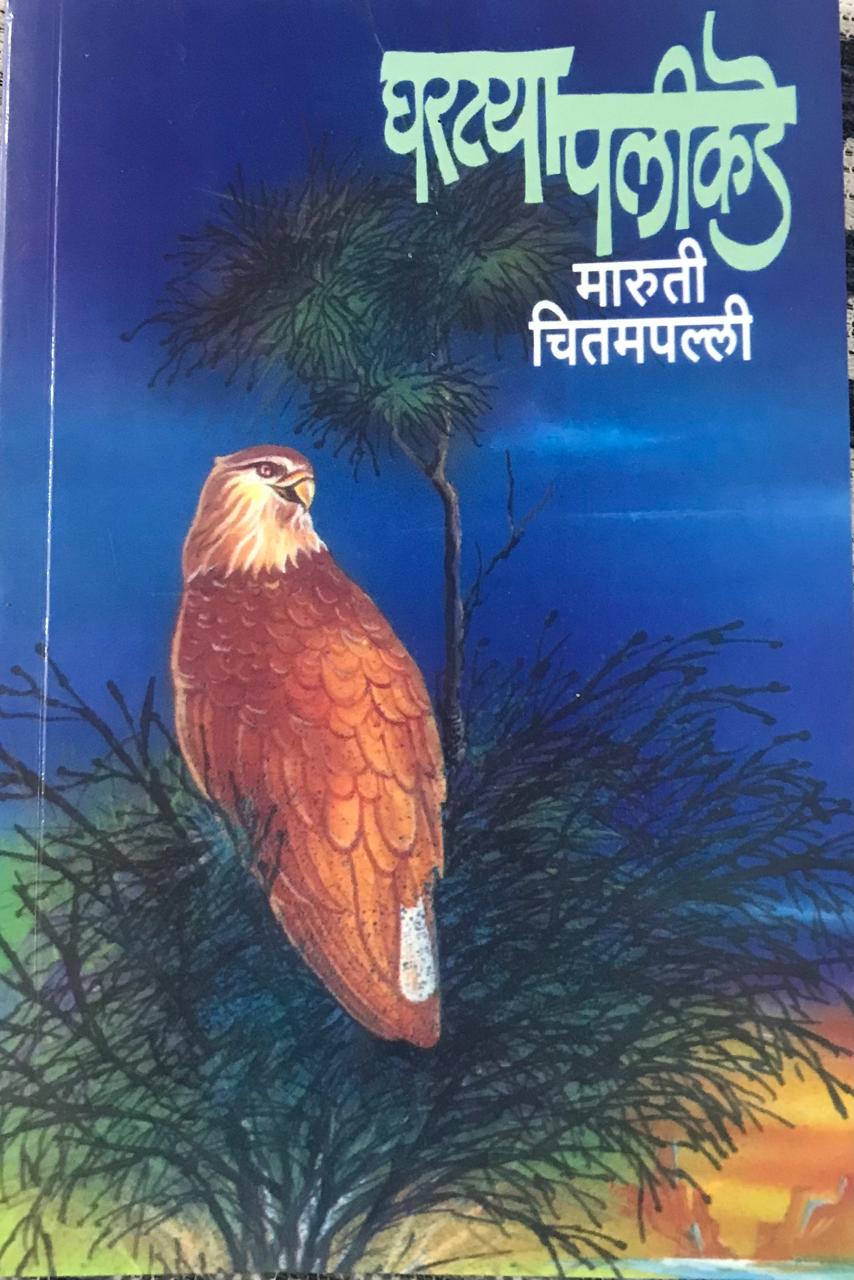घरट्या पलीकडे
