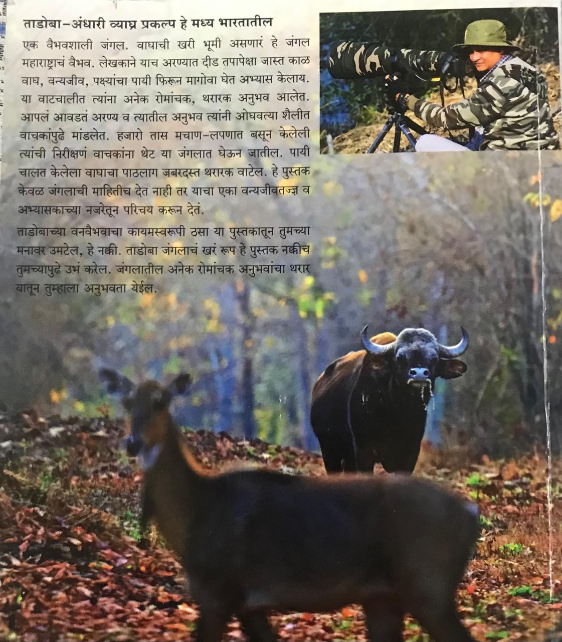 Back cover: ताडोबा