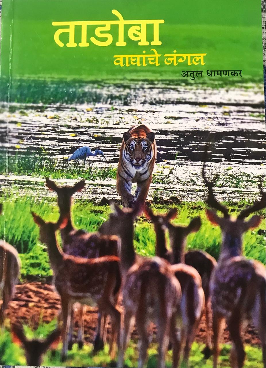 ताडोबा