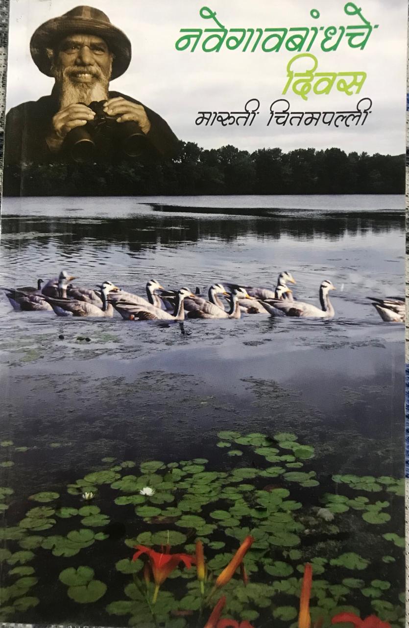 नवेगावबांधचे दिवस