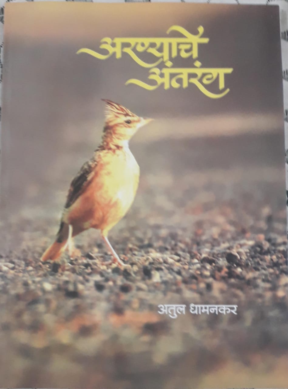 अरण्याचे अंतरंग