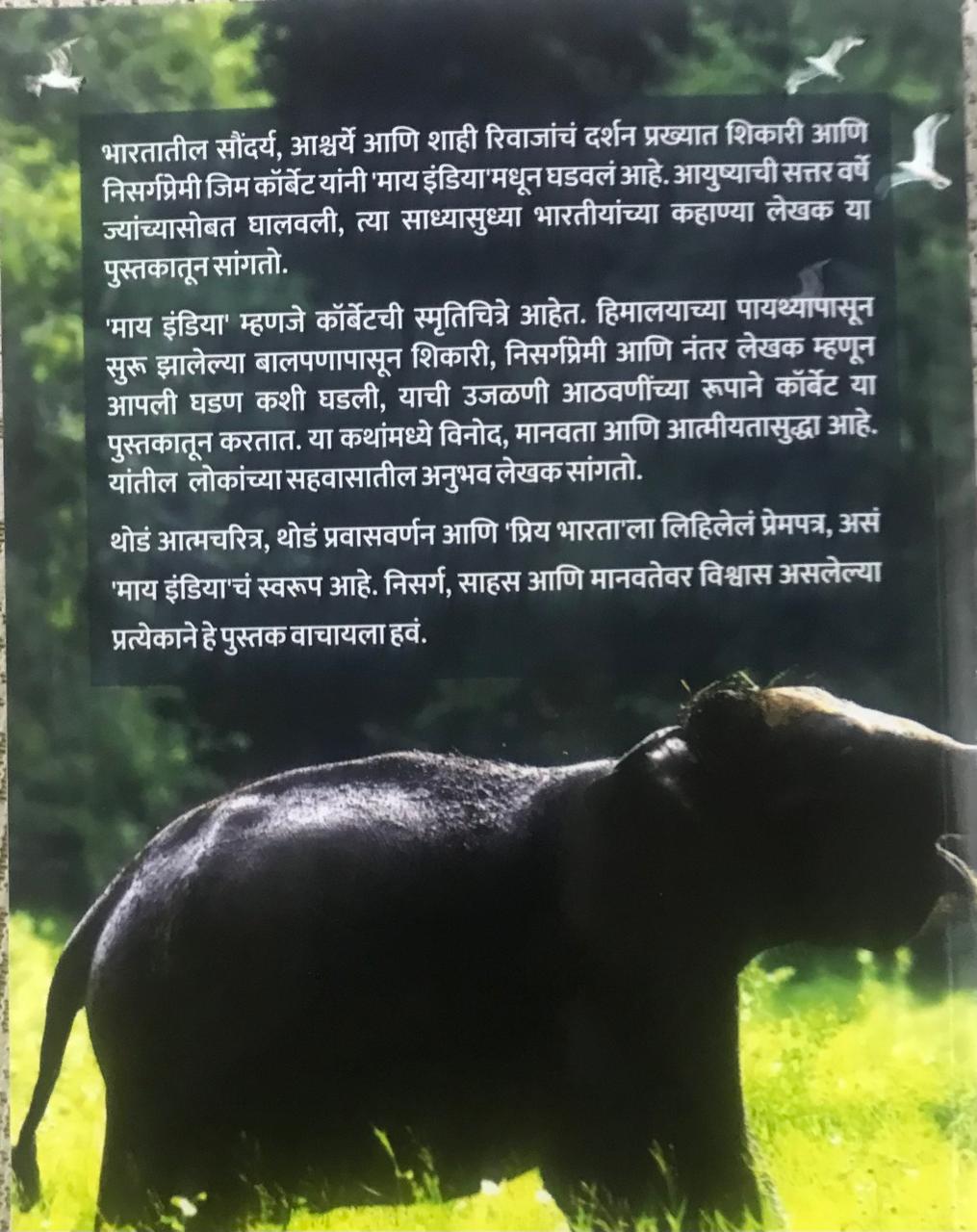 Back cover: माय इंडिया