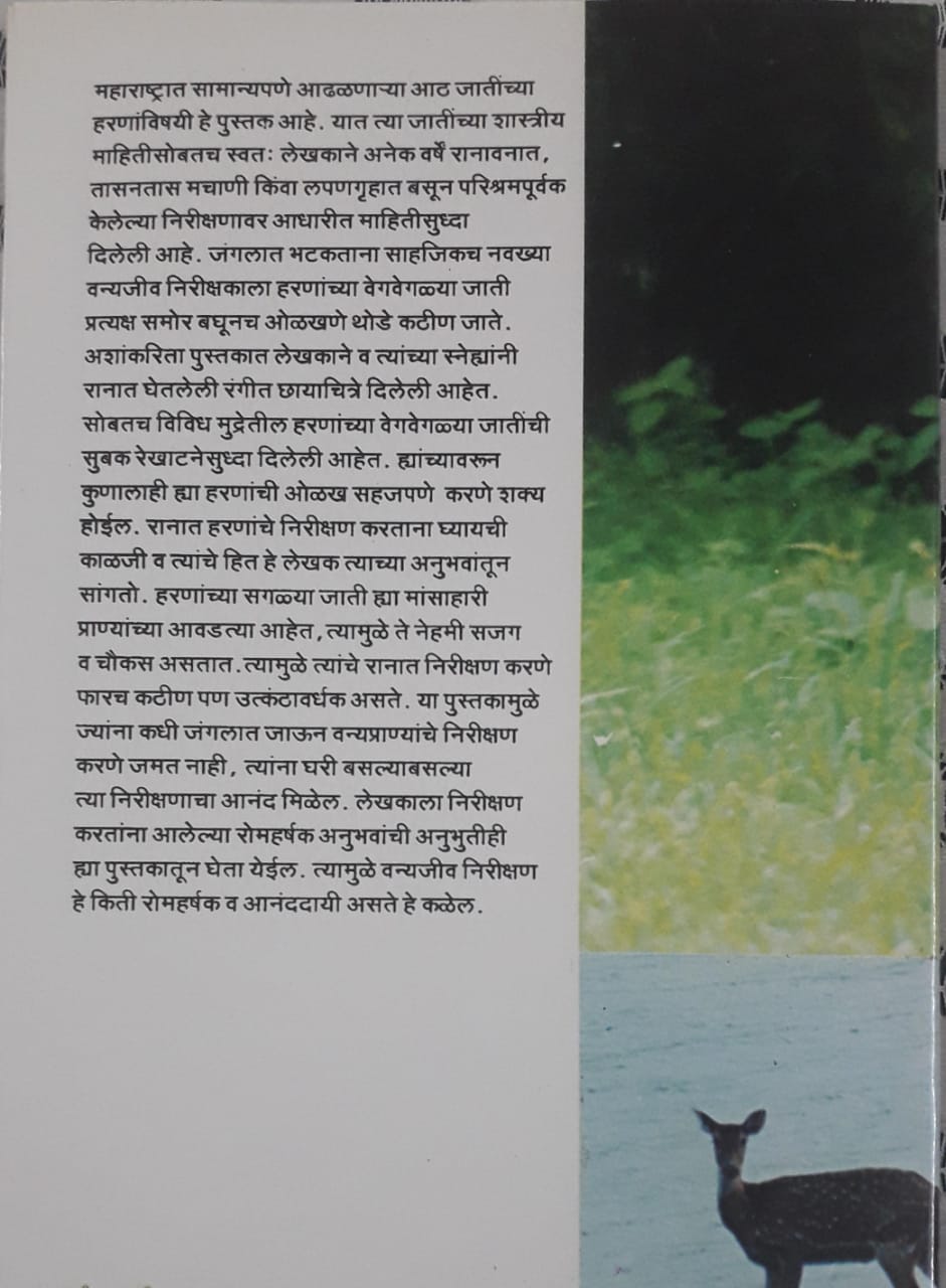 Back cover: मृगकथा