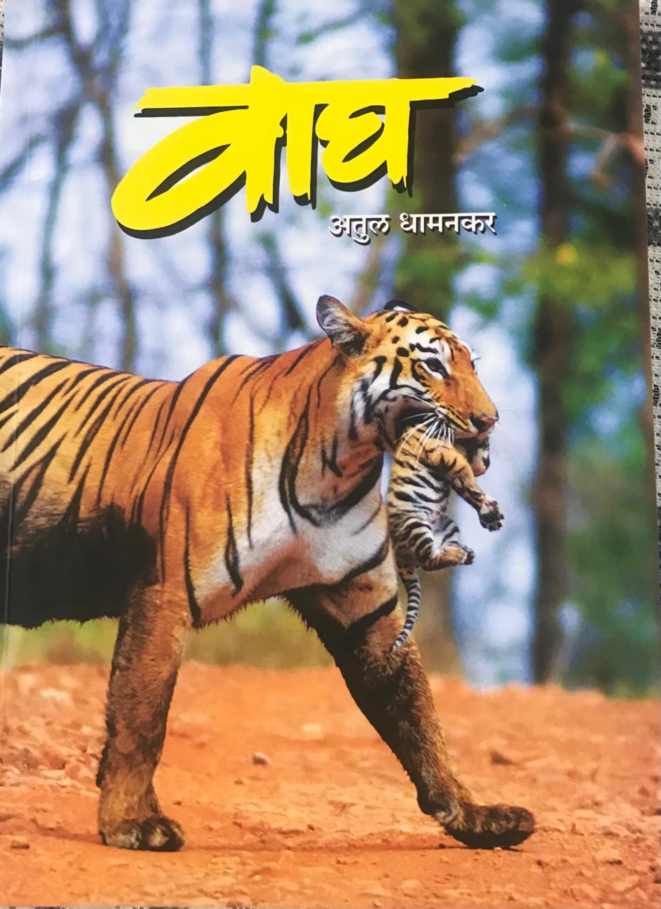 वाघ