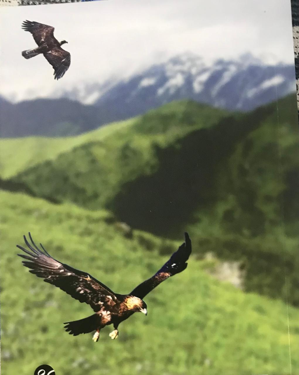 Back cover: सुवर्णगरुड